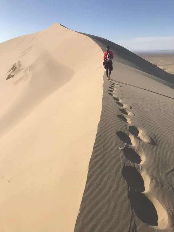 Khongor sand dune Gobi desert