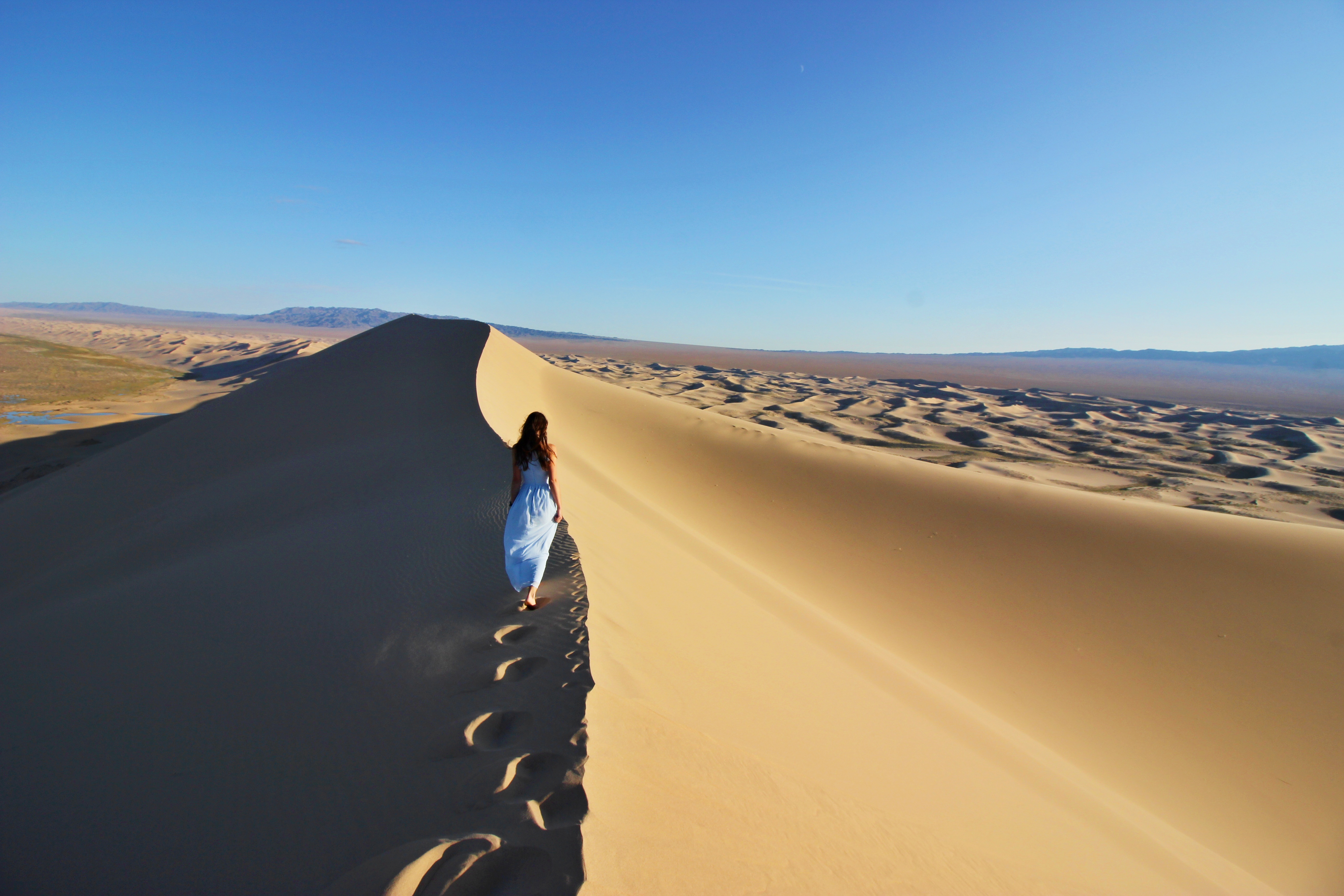 Gobi Tour Guide