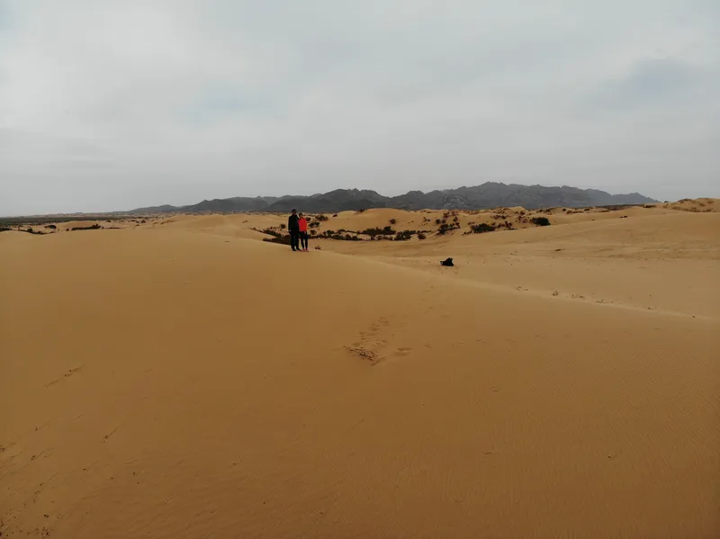 Small Gobi trip