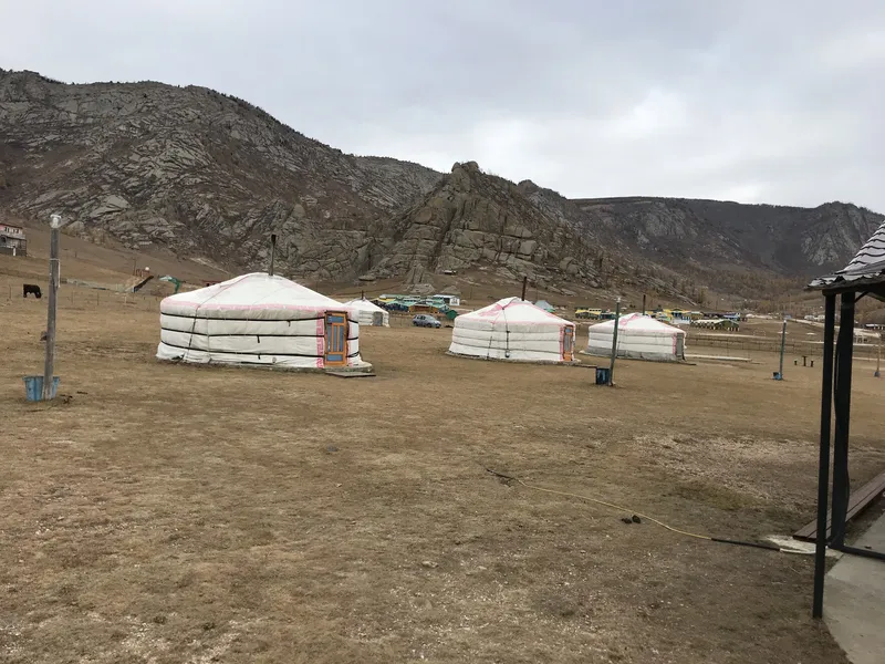 mongolia yurt turtle rock