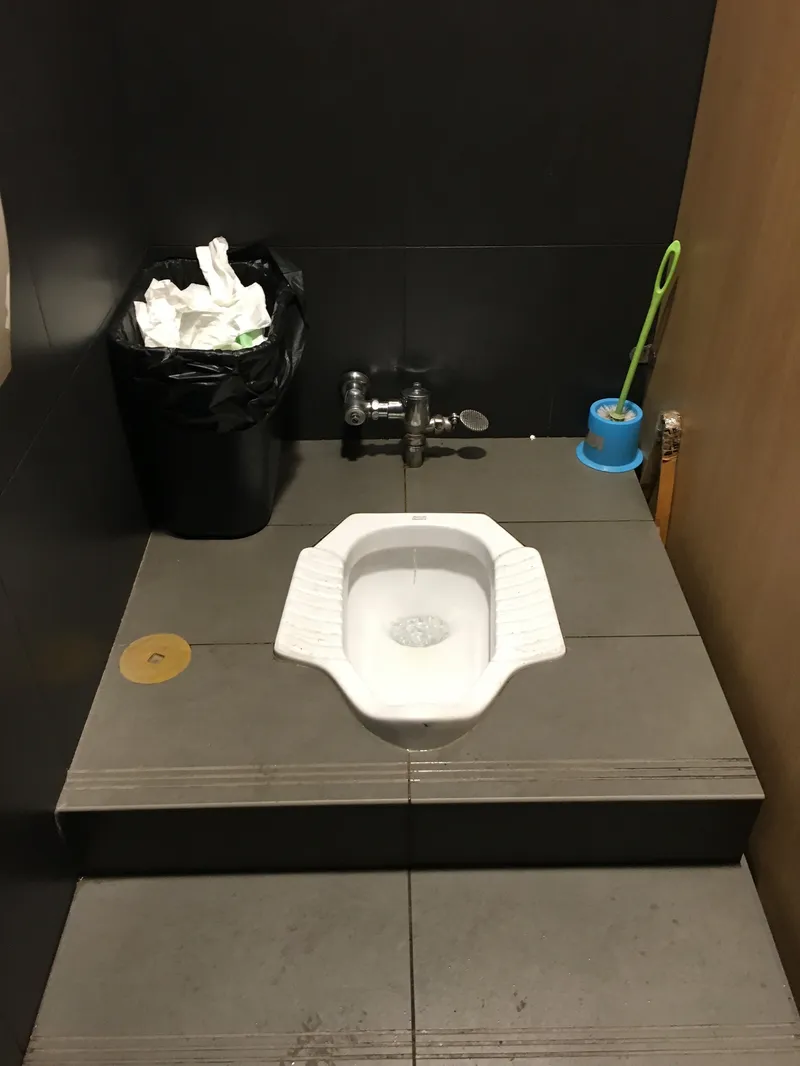 china travel tips toilet