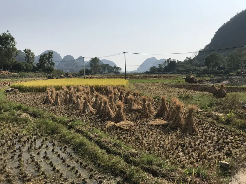 li river wuzhi village