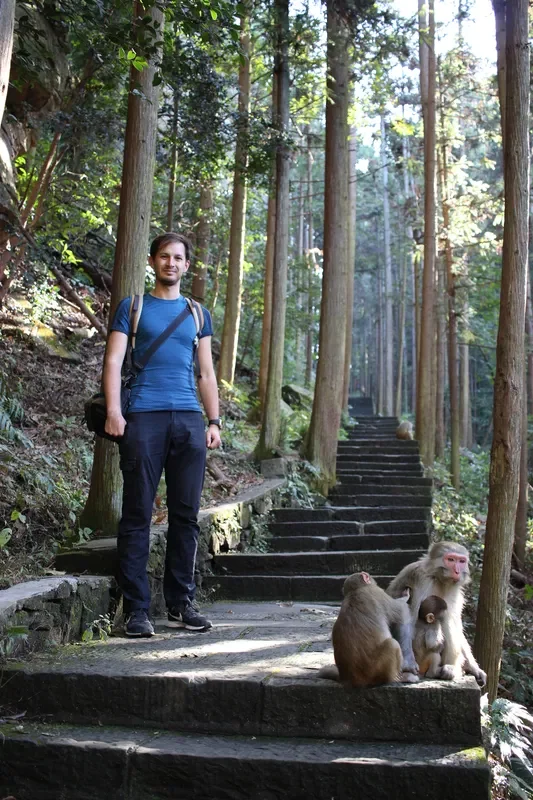 yangjianjie monkeys stairs