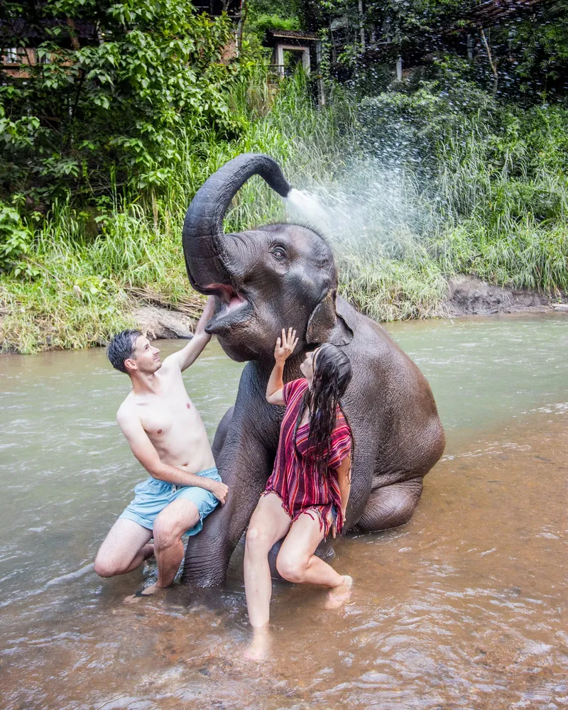 Chiang Mai Elephant Friends