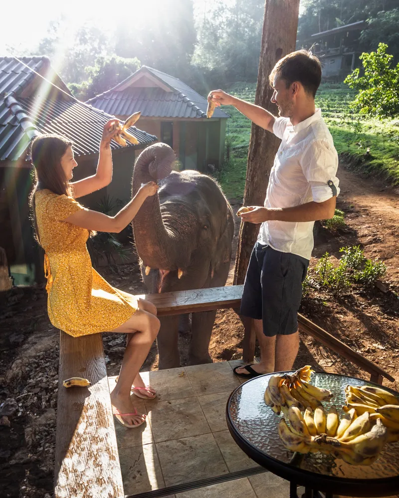 Chiang Mai Elephant Friends