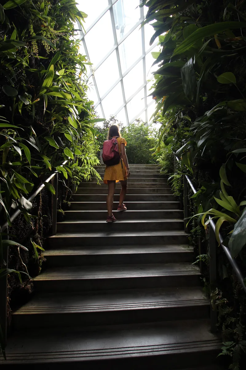 Singapore Gardens by the Bay