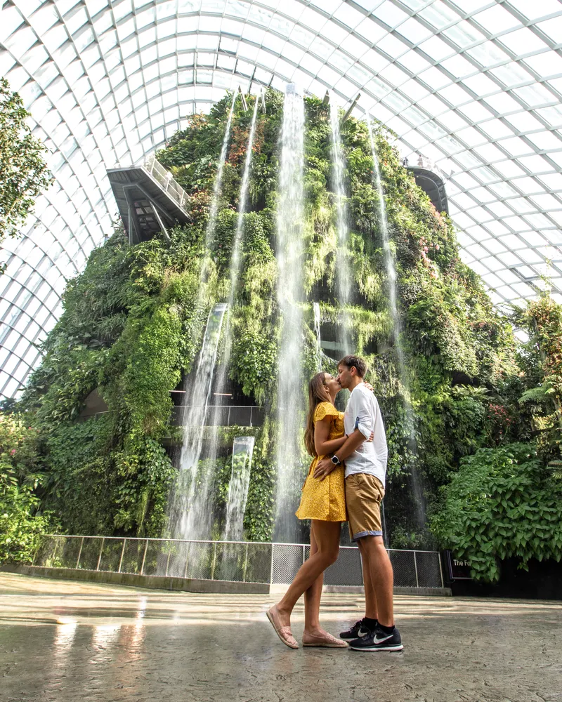 Cloud forest waterfall