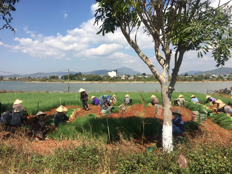 Vietnam Dalat