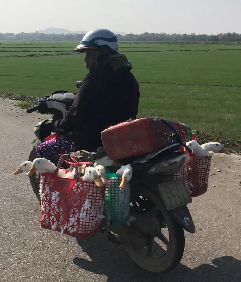 Vietnam Hai Van Pass