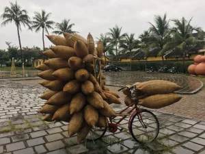 Vietnam Hoi An