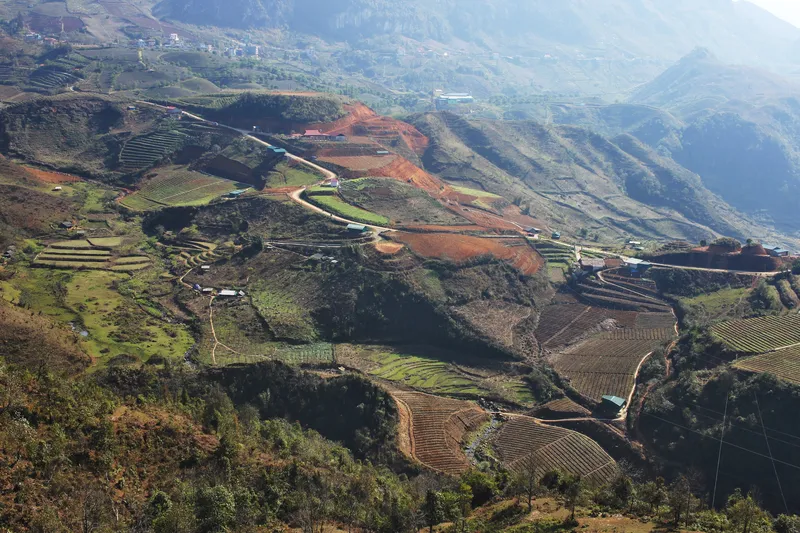 Vietnam SaPa Rice Terrace