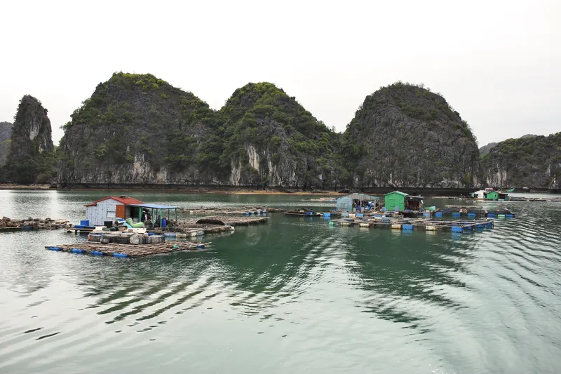 Vietnam Cat Ba