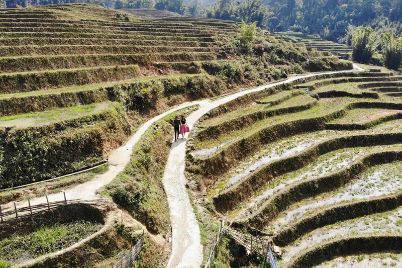 Vietnam SaPa Rice Terrace