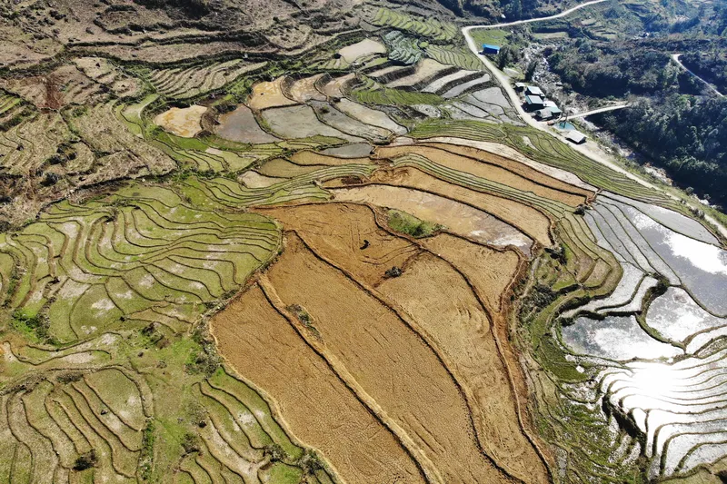 Vietnam SaPa Rice Terrace