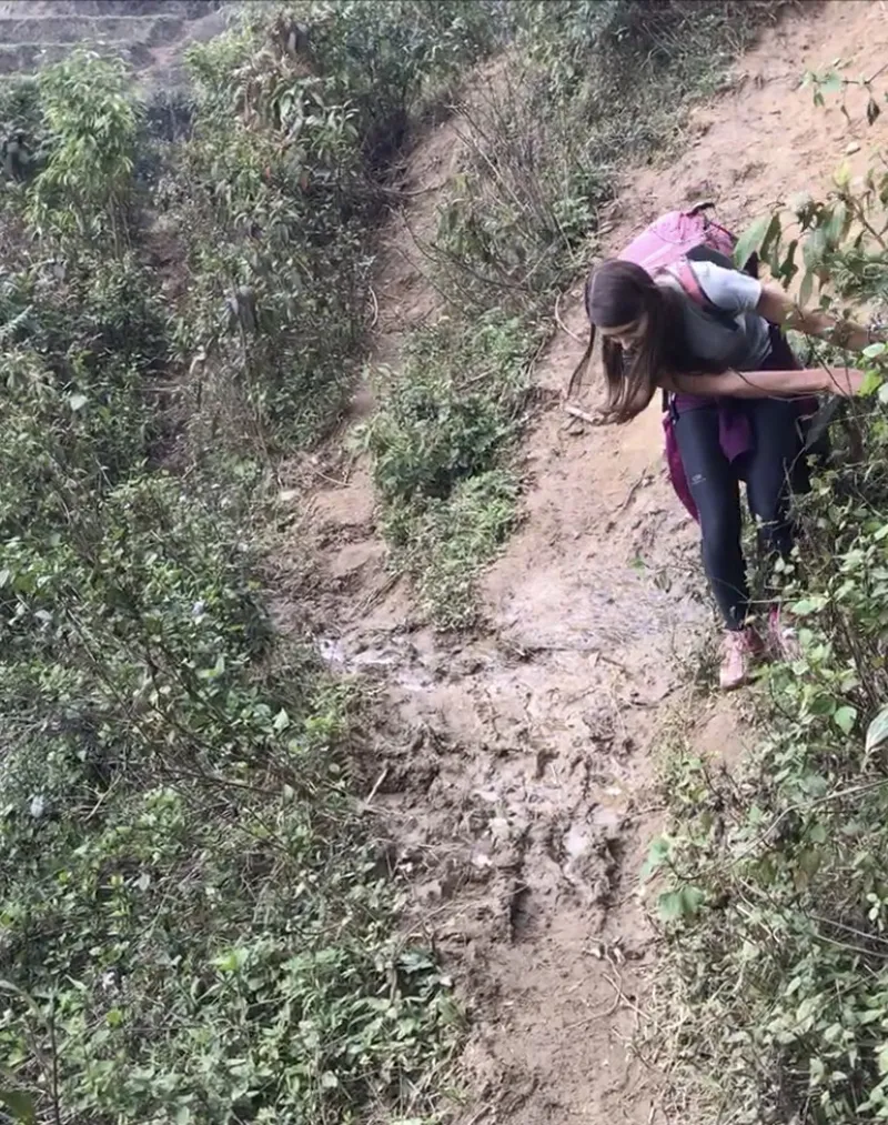 Vietnam SaPa Rice Terrace