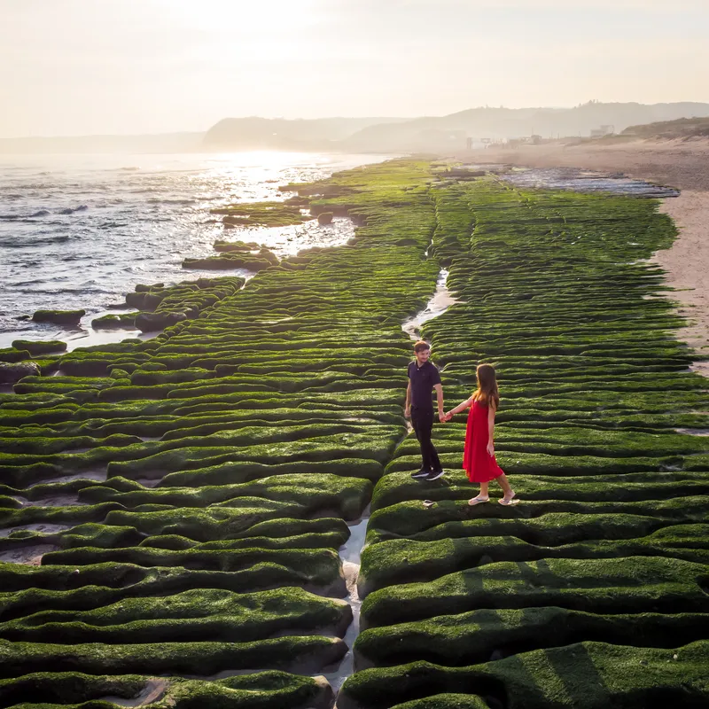 Taiwan Green Reef