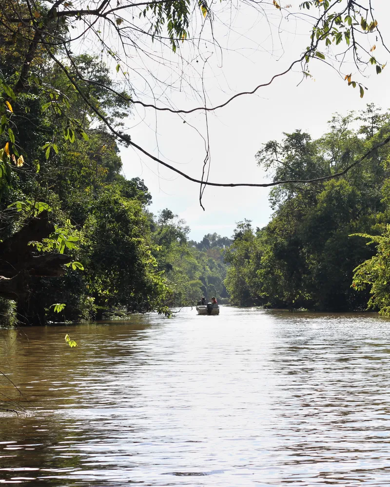 Borneo Malaysia Tour