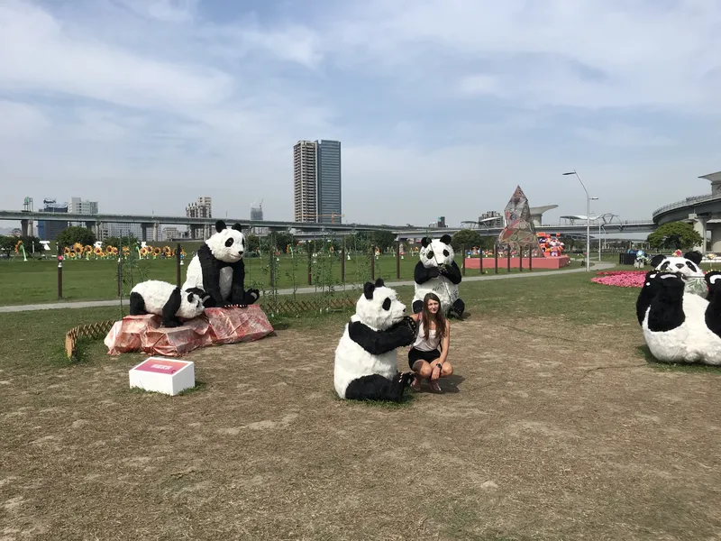 taipei pandas