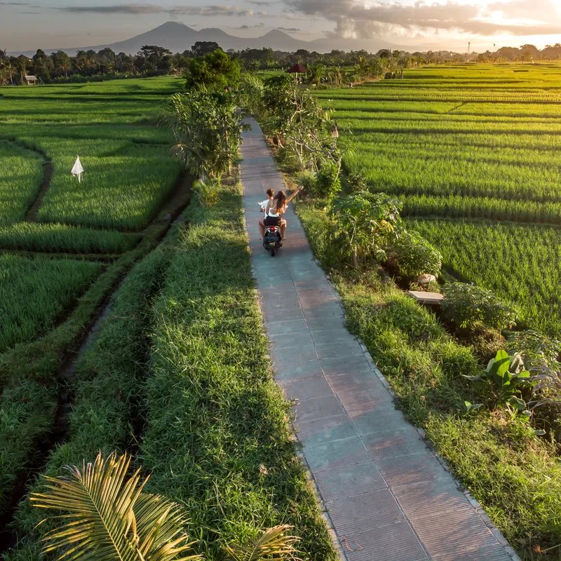 Bali Canggu Ricefields