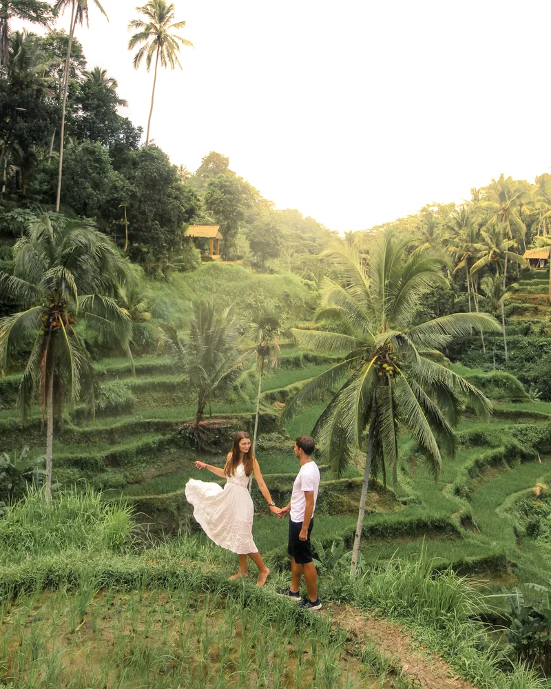 Ubud Bali Rice Fields