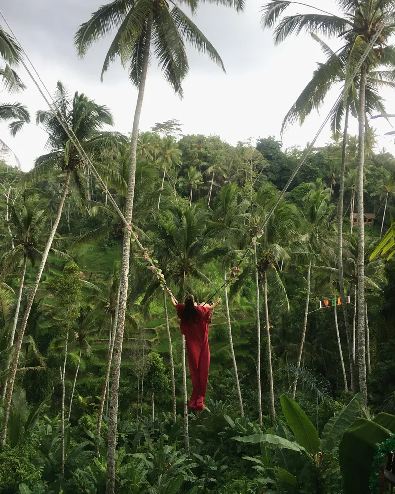 Ubud Bali Swing