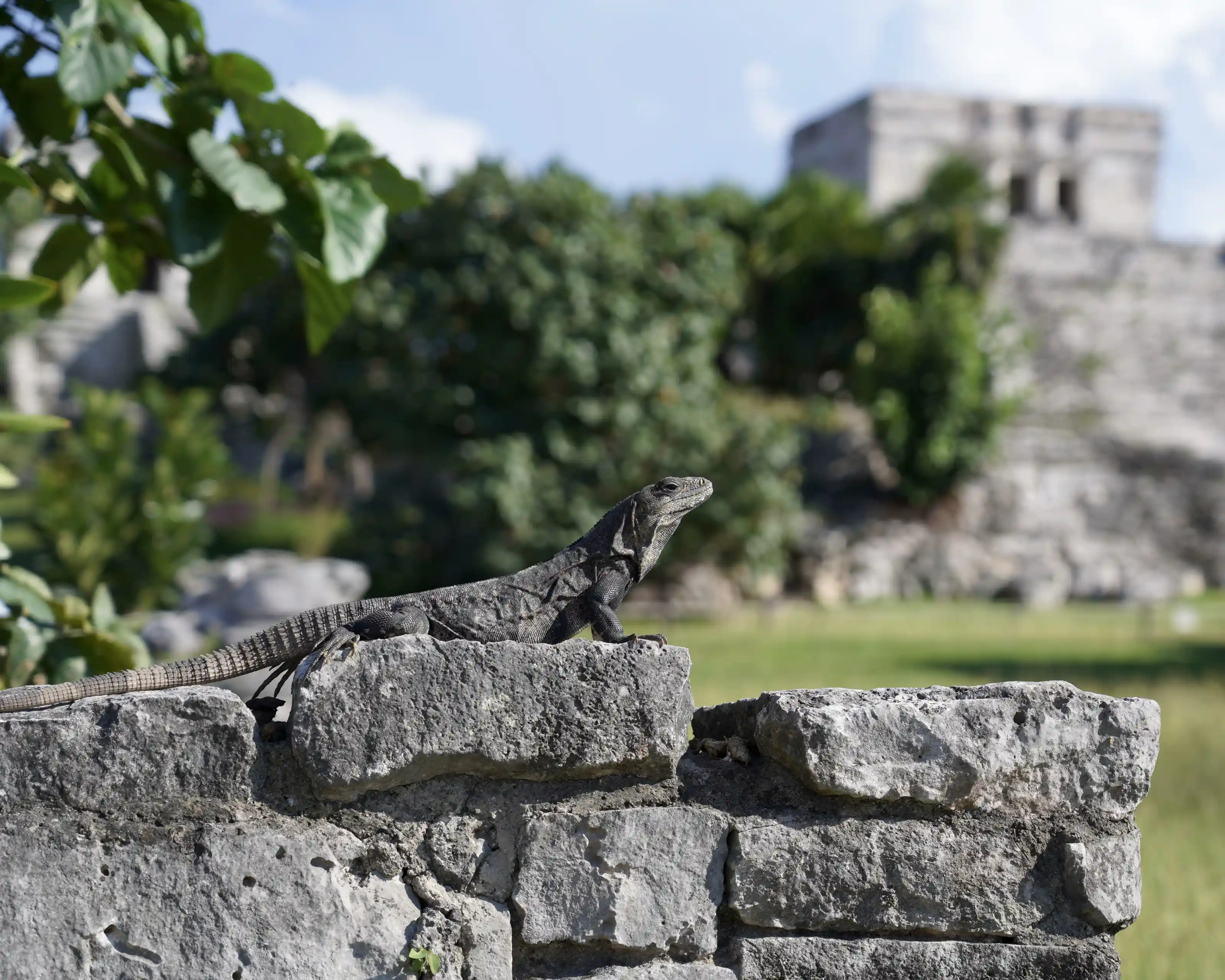 Tulum Mayan ruins