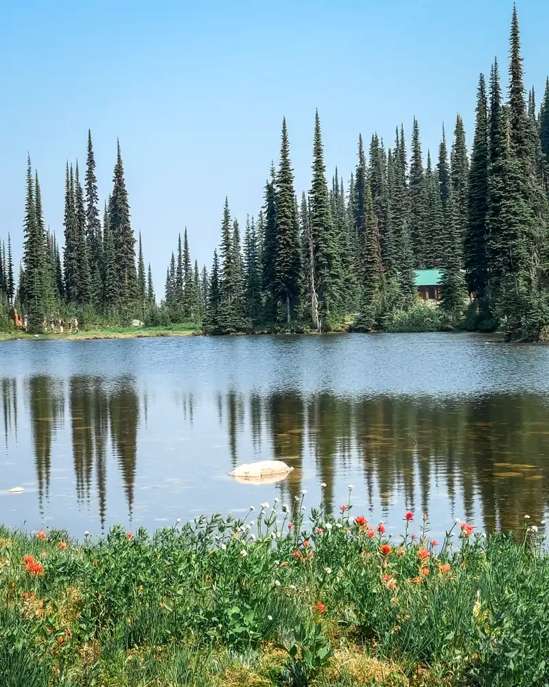 Revelstoke national park