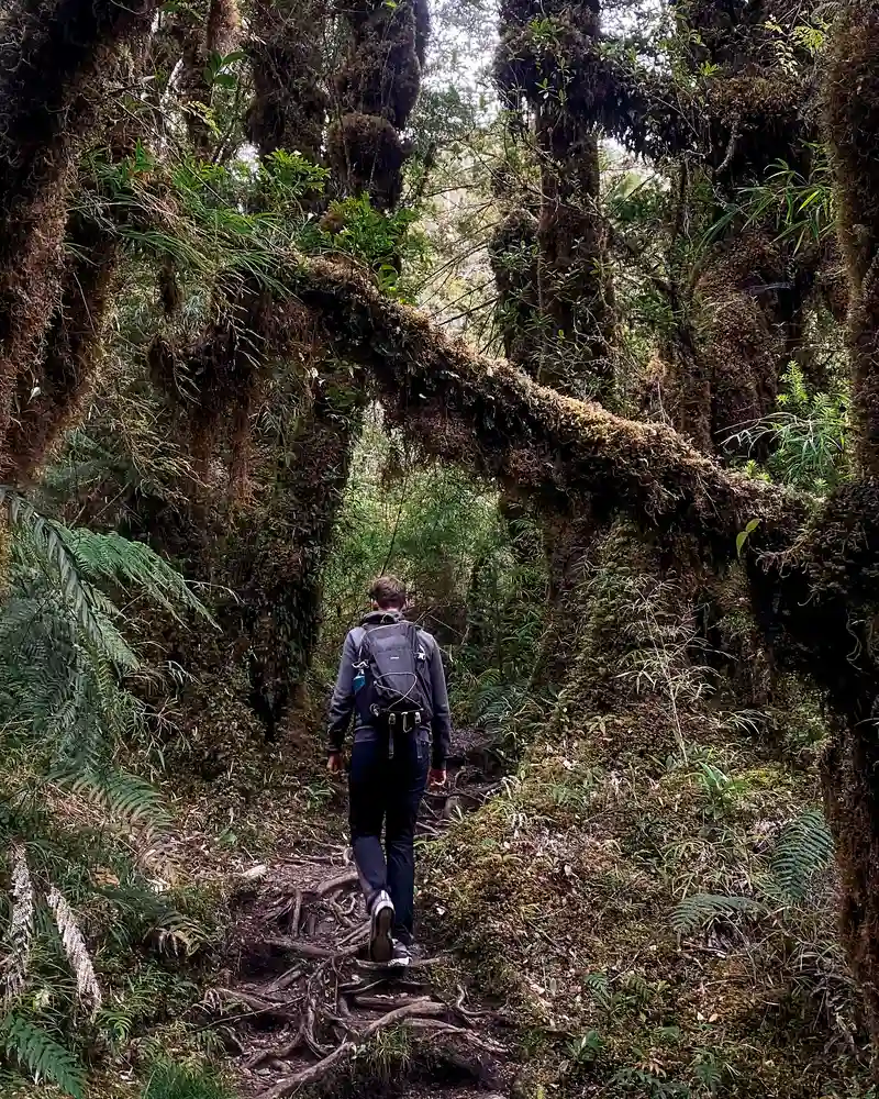 Sendero Cascadas Escondidas