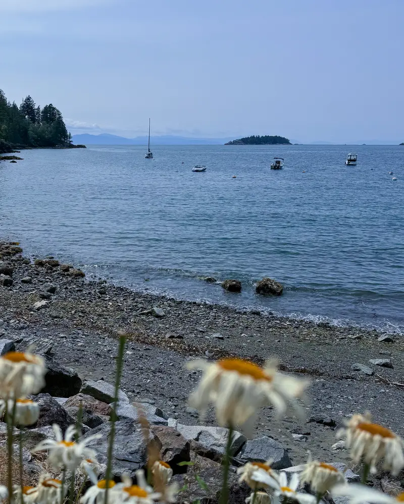 Bowen island paddleboarding